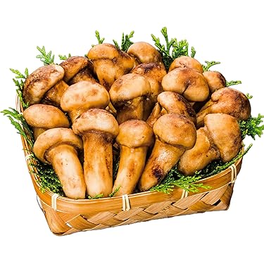 Amazon.co.jp 売れ筋ランキング: 松茸 の中で最も人気のある商品です